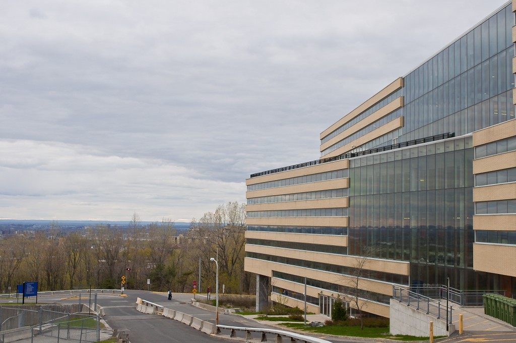 Panormama.