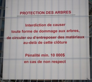 Ici, cela coute cher de s'attaquer aux arbres.