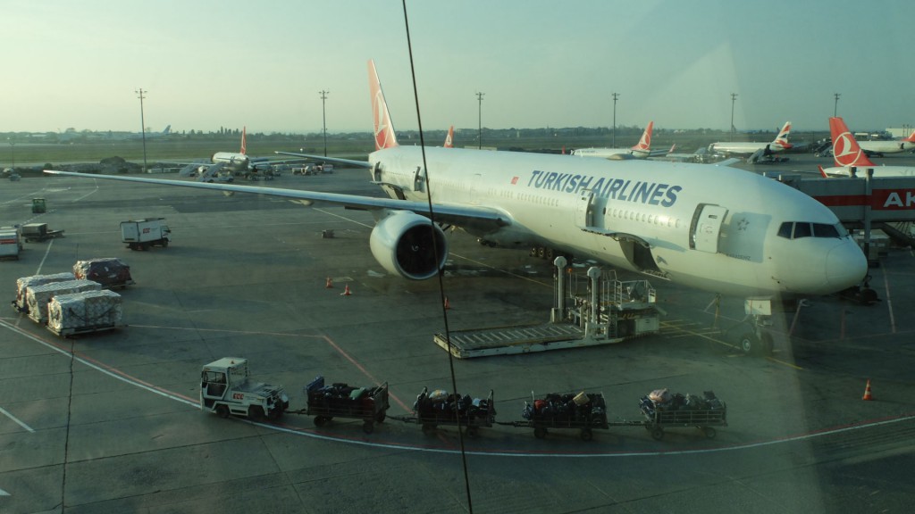La monture qui me transporta bravement d'Istanbul à Buenos Aires