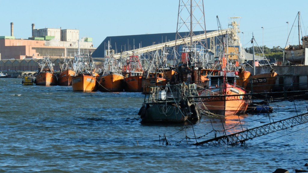 Pourquoi la couleur de la pêche serait le orange ? Port de pêche.